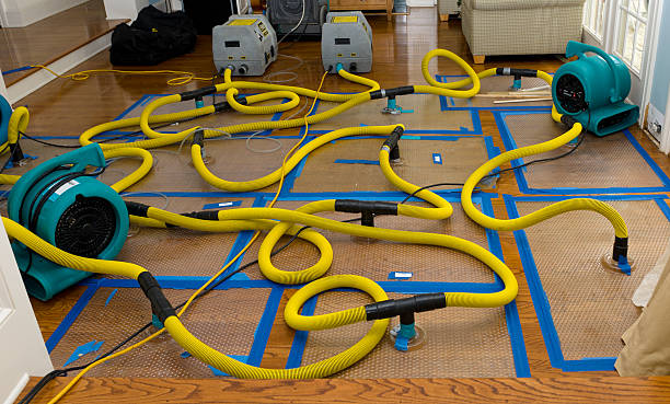 Professional Water Extraction technician working in Randolph, TX